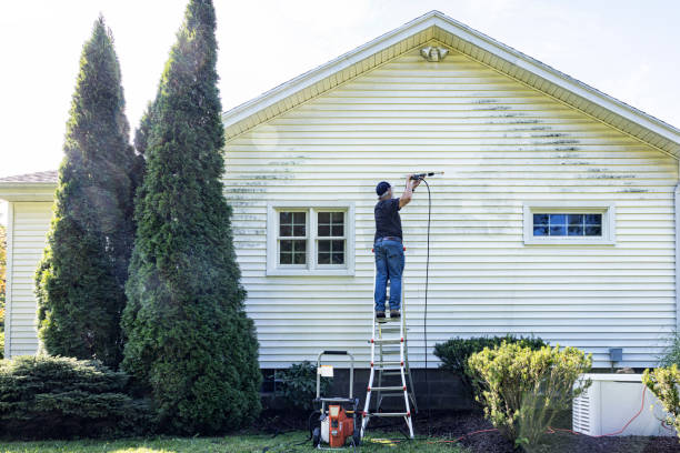 Best Commercial Building Pressure Washing  in Bass Lake, IN