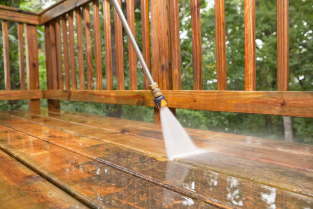 Best Local Pressure Washing Services  in Bass Lake, IN