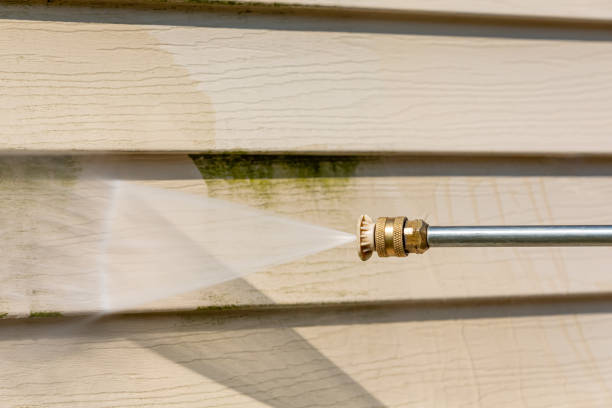 Best House Pressure Washing  in Bass Lake, IN