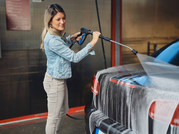 Best Exterior Home Cleaning  in Bass Lake, IN